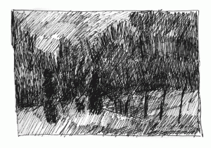 6 1