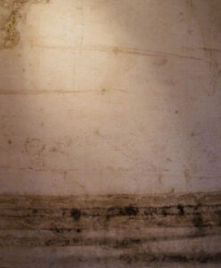 Nebelland Naturprint und Tusche auf Nessel 150 x 120 cm